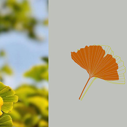 枸杞vi設計公司