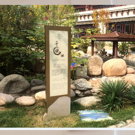 如何通過運動與健身網站設計吸引更多的會員和用戶？